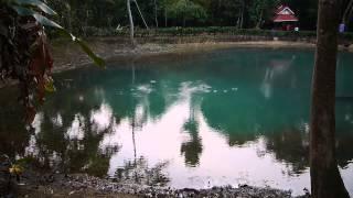 Hot Spring - Nam Horn Resort (Baw Nam Horn Nyai). Muang Kham., Laos