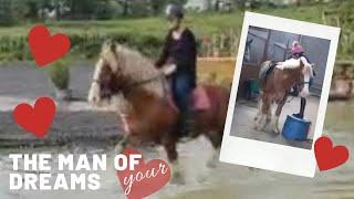 ️ Irish Cob [FOR SALE] excellent across country, hacks alone SOLD