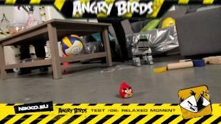 Angry Birds iRacers: Nikko Test Squad