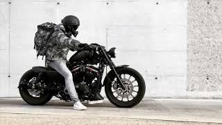 Sportster Iron 883 Brutal Sound!!!