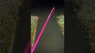 Весьма интересное место #рыбалка #отдых