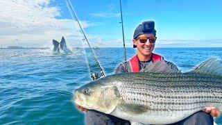 I Got the BIG Bite I Was Hoping For!!! Kayak Fishing for Striped Bass!