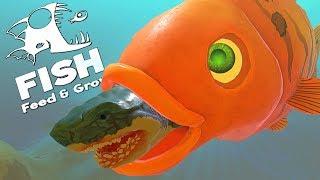 ГИГАНТСКАЯ ЗОЛОТАЯ РЫБКА ПРОТИВ МЕГАЛОДОНА | Feed and Grow Fish