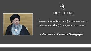 Почему Имам Хасан (а) заключил мир, а Имам Хусейн (а) восстал?  – Аятолла Камаль Хайдари