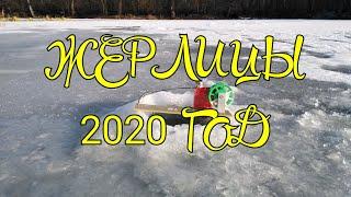 ЖЕРЛИЦЫ. ЩУКА. 2020 ГОД.