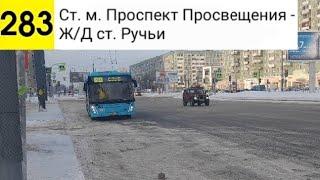 Автобус 283. Ст. м. Проспект Просвещения - Ж/Д ст. Руьчи