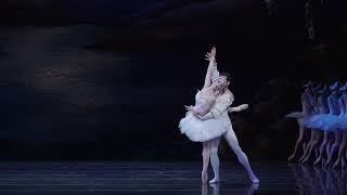 BalletMet Presents: Swan Lake