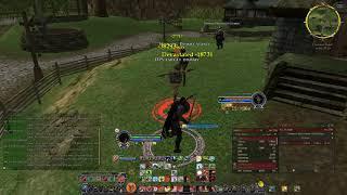 LOTRO Yellow Warden 219k Raid DPS Simple Rotation