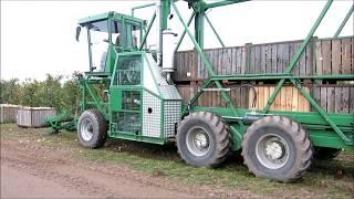 KT 18S  KISTENFFRESSER / BINS-EATER / Bins Trailer Kistentransporter KT20