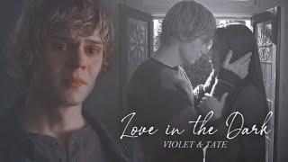 Tate & Violet • Love In The Dark • American Horror Story • HBD @daydreaminxedits