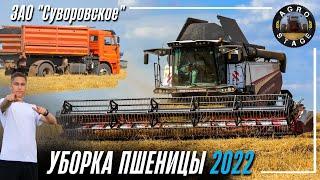 Уборка пшеницы 2022! Четыре зерноуборочных комбайна РСМ 161 на одном поле! А так же Acros 595 Plus!