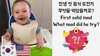 Our 6 month baby tried solid food very first time! International couple living in Korea