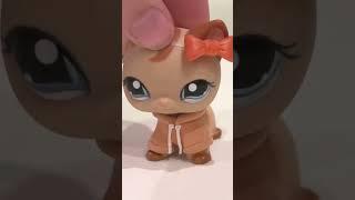 Где же видео?! #littlestpetshop #lps #лпс #петшопы #петы #shorts