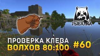 Русская рыбалка 4 #60 - Проверка клева. Волхов 80:100