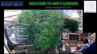 NAY'S GARDEN GIVES AWAY FREE INFORMATION DAILY!