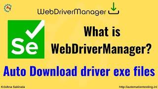 WebDriverManager API | Auto Download driver exe files in Selenium | Launch browser without exe