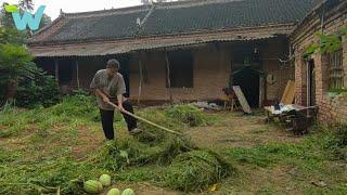 Brother renovates dilapidated old house for sister to prepare her wedding