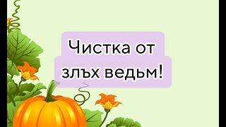 чистка от злъх ведьм