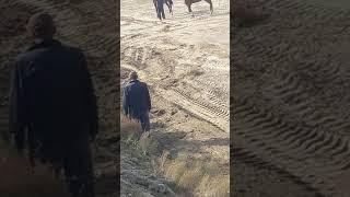 Улок купкари бешарик