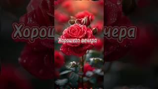 Вечерний привет #вечер #слюбовью #красивоговечера