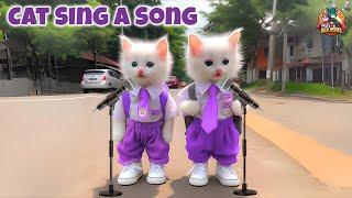 Three Little Kittens | Fun Rhymes & Dance Along Meow Meow  | Halal Heroes #kittens #rhymes