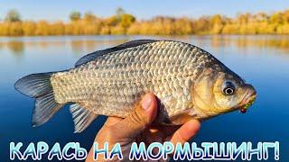 Карась на МОРМЫШИНГ!