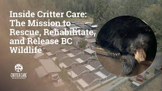 Inside Critter Care: The Mission to Rescue, Rehabilitate, and Release BC Wildlife. Version 1