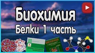 Биохимия. Лекция 2. Белки. Уровни организации белков. Функции белков.