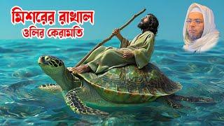 মুফতি নাসির উদ্দিন আনসারী - মিশরের রাখাল অলির কেরামতি  - bd waz