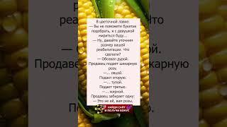 Невероятный случай #позитив#юмор#шутки#смех#прикол#memes