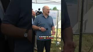 ЛУКАШЕНКО КРИЧИТ НА ТУПЫХ ЧИНОВНИКОВ #лукашенко #политика #россия