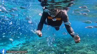 Balicasag Marine Sanctuary, Panglao, Bohol