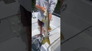 Redfish Catch, Clean, & Cook!! Part 1!