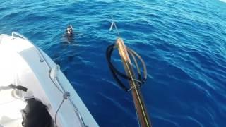 chasse sous marine-New Calédonia