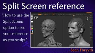 Using Split Screen mode in ZBrush to see your reference as you sculpt without it getting in the way