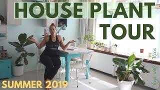 Dutch House Plant Tour - Summer 2019 - Yoga and Plants with Roos