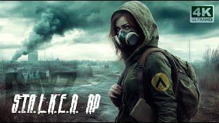 Нашла подработку у Братков и побродила по тайникам | DayZ STALKER-RP | HmH PVE/RP | RTX4080