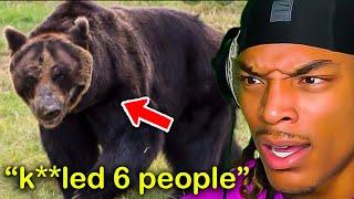 Why Every Bear Could Retire You From Life