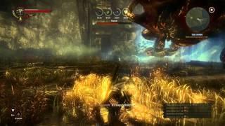 The Witcher 2 - Kayran Boss Fight - 1080p