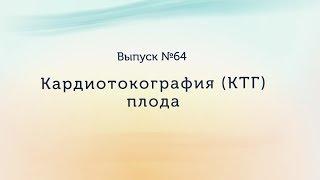 Кардиотокография (КТГ) плода