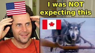 American Reacts to the Littlest Hobo (Episode 1)