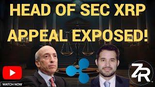 Head Of SEC's XRP Appeal EXPOSED!