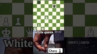 Real players pause. Cowards swipe.  brilliant queen sacrifice #chess#subscribe#viral#rook