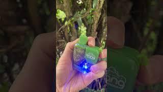 Bang Box 9000 puffs disposable vape #shortsvideo