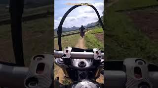 ️ Vietnam Motorbike Tours ️ Road To Enlightenment #vietnam #motorcycle #motorbike #tours