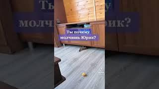 Юрик, Ты там #юрик#тытам#рек#рекомендации️️