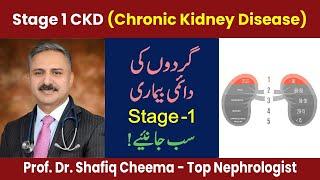 Chronic Kidney Disease (CKD)- Stage 1| Causes, Symptoms & Treatment | Best Nephrologist in Lahore