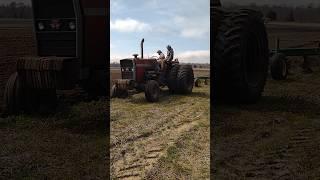 Ole Perkins V8 , Massey 1155 plowing #farmall51