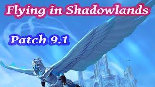 How to Obtain Flying in Shadowlands ~ World of Warcraft (PTR)