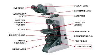 Polarizing Petrographic Microscope | Optical Mineralogy (Part-4) | GeologyConcepts.com